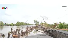 Người dân, học sinh chật vật vì sụt lún đường cặp kênh Đông Hưng (Cà Mau)