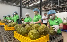 Siết hàng rào kỹ thuật, nông sản Việt phải chuyển mạnh sang sản xuất chuyên nghiệp