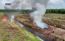 Mưa trái mùa ở Cà Mau làm tăng nguy cơ cháy rừng