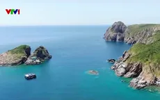 Hệ sinh thái san hô vịnh Nha Trang phục hồi ngoạn mục sau thời gian suy giảm nghiêm trọng