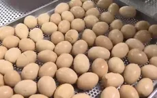 Giá gà và trứng giảm sâu