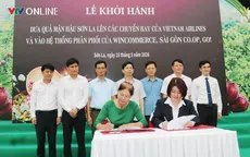 Mận hậu Sơn La lên máy bay, vào chuỗi siêu thị