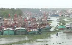 Xử lý nghiêm vi phạm IUU để chống khai thác hải sản bất hợp pháp