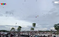 Rực rỡ tuần lễ thả diều nghệ thuật tại Cà Mau