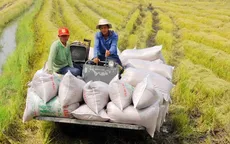 22 địa phương triển khai sản xuất giảm phát thải