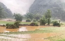 Mưa lớn, dông lốc tại nhiều địa phương gây thiệt hại ước tính hơn 10 tỷ đồng