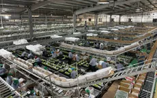 Nông nghiệp CNC: Cuộc chơi lớn trên cánh đồng Việt