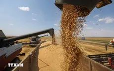 Nguy cơ khủng hoảng giá lương thực toàn cầu do gián đoạn tại eo biển Hormuz