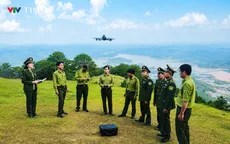 Lá chắn số giữa đại ngàn