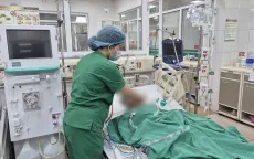 Viên sỏi 3mm khiến bệnh nhân sốc nhiễm khuẩn nguy kịch