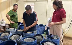 Phát hiện cơ sở sản xuất giá đỗ dùng chất cấm tại Hải Phòng