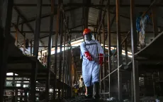 Congo: Khu điều trị bệnh nhân Ebola bị phóng hỏa, 18 ca nghi nhiễm bỏ trốn