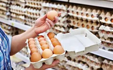 Giá trứng gà thấp hiếm thấy