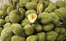 Sầu riêng tiếp tục tạo cú hích cho xuất khẩu nông sản Việt