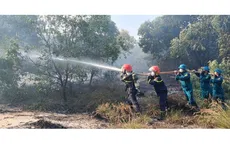 Quảng Trị: Cháy rừng tại giáp ranh hai xã Quảng Ninh và Ninh Châu
