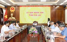 Vụ nghi ngộ độc bánh mì ở Gia Lai: Phó Chủ tịch tỉnh yêu cầu làm rõ, không để ảnh hưởng đến du lịch
