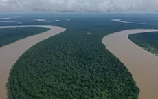 Brazil đầu tư hơn 600 triệu USD vào dự án sinh thái rừng Amazon 