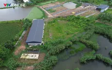 Hải Phòng: Người dân phường Lưu Kiếm bức xúc vì ô nhiễm từ các cơ sở chăn nuôi