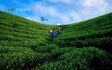 "Đi trốn" ở Đồng Khuân - Điểm du lịch cộng đồng đang gây chú ý tại Thái Nguyên