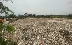 Khởi tố chủ cơ sở chế biến đổ hơn 324.500 kg vỏ hàu ra môi trường