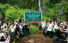 Hà Anh Tuấn, Bùi Công Nam, Phùng Khánh Linh và khán giả Forestival 2026 tham gia trồng rừng ở Ninh Bình
