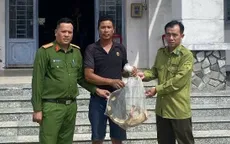 Vận động người dân giao nộp 2 cá thể rồng đất Nam Mỹ