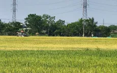 Cảnh báo thủ đoạn bảo kê máy gặt để trục lợi