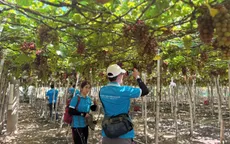 Khánh Hòa hướng đến mô hình “du lịch trải nghiệm OCOP”