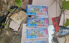Bắt giữ đối tượng cướp giật vé số của người phụ nữ khuyết tật