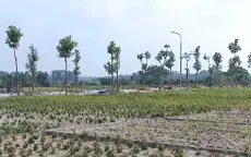 Hà Nội: Đẩy nhanh tiến độ hai dự án khu đô thị đa mục tiêu