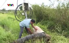Quảng Ngãi khơi thông thủy lợi để ứng phó hạn hán
