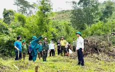 Cưỡng chế, khôi phục hơn 7,3ha đất lâm nghiệp bị lấn chiếm ở Lâm Đồng