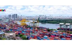 Số hóa thủ tục, tăng tốc dòng chảy hàng hóa qua cảng biển