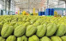 Rau quả Việt Nam duy trì đà tăng trưởng ấn tượng