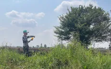 Giấu súng quân dụng trong nhà người thân, hai bị can đối mặt truy tố