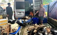 Bắt giữ 9 người trong đường dây chuyên trộm và tiêu thụ chó ở Tây Ninh