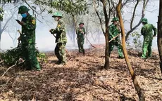 Quảng Trị: Cháy gần 3,6ha rừng phòng hộ ven biển