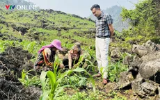 Tuyên Quang: Khi nghị quyết bén rễ trên đất đá