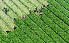 Đặt mục tiêu có 5.000 doanh nghiệp nông nghiệp vào năm 2030