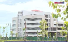 Hàng trăm cây xanh chết khô tại Dự án Đô thị xanh hơn 1.000 tỷ đồng ở Huế