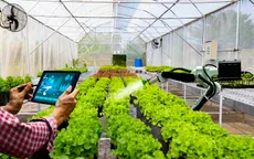 Cắt giảm thủ tục lĩnh vực trồng trọt và bảo vệ thực vật