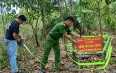 Phát hiện vật nghi đạn pháo còn sót lại sau chiến tranh