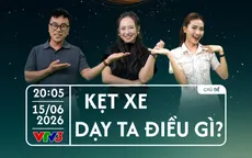 Điều nhỏ bé kỳ diệu: Học những bài học lớn từ những điều bình thường