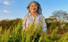 Cây MS Nữ Hoàng: Tiềm năng lớn, càng cần quản lý chặt nguồn giống