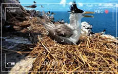 VTV ra mắt Vietnam Wild Live: Lần đầu tiên truyền hình trực tiếp thiên nhiên hoang dã