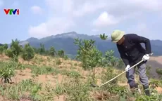Gần 12 triệu ha đất thoái hóa cần được hồi sinh
