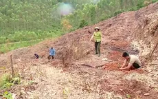 Giữ đất, chống xói mòn từ việc chuyển đổi cơ cấu cây rừng