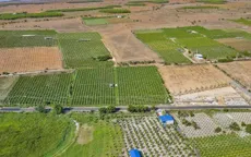 Đất vào quy hoạch nhưng chưa triển khai, có được chuyển mục đích?