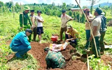 Lâm Đồng: Phát hiện hơn 1.100 viên đạn khi đào hố trồng cà phê