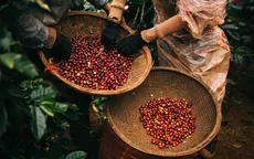 Cà phê đảo chiều giảm